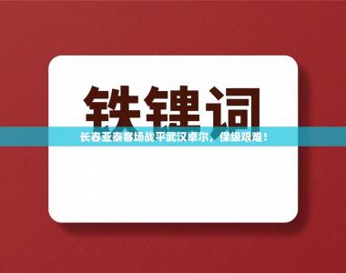 长春亚泰客场战平武汉卓尔，保级艰难！