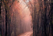 深圳客场逆袭，终结连败颓势