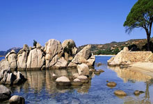 阿尔艾因奋起直追，晋级前景无限